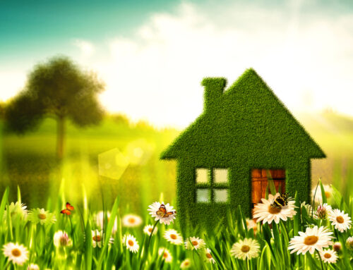 Going Green Is A Plus For Home Owners